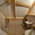 Cebelica * Bohinji-tó