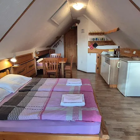 Apartament Cebelica *