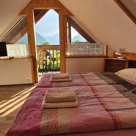 Apartament Cebelica *