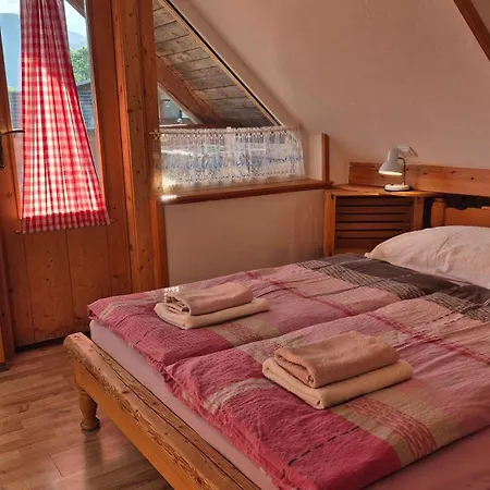 Apartament Cebelica *