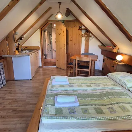 Apartament Cebelica *
