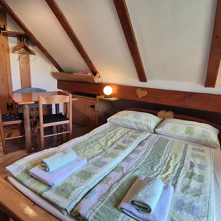 Apartament Cebelica *