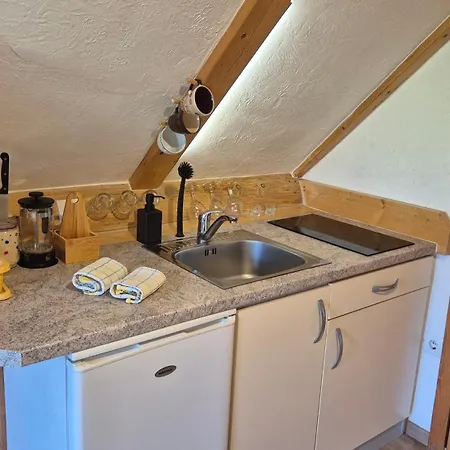 アパート Cebelica ボーヒニ