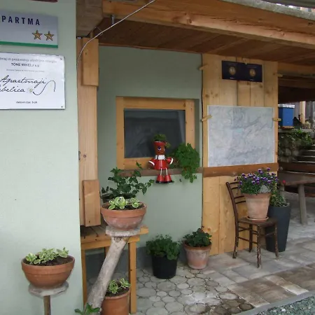 Appartamento Cebelica